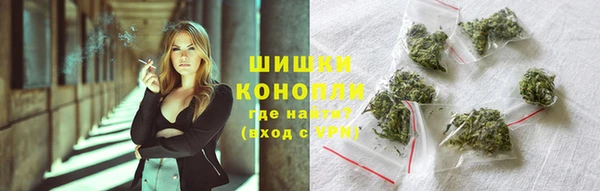 прущий лед Богородицк