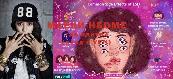 ГАЛЛЮЦИНОГЕННЫЕ ГРИБЫ Богданович