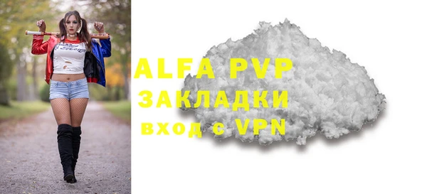 ГАЛЛЮЦИНОГЕННЫЕ ГРИБЫ Богданович