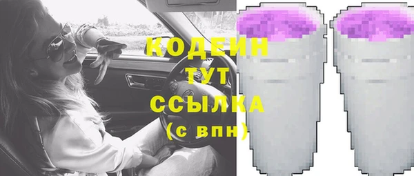 ГАЛЛЮЦИНОГЕННЫЕ ГРИБЫ Богданович