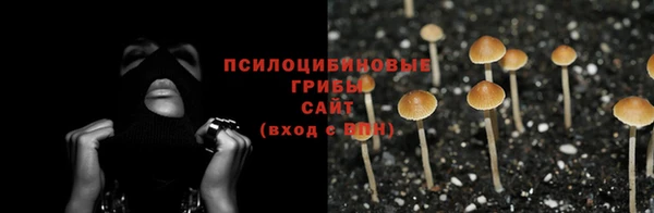 ГАЛЛЮЦИНОГЕННЫЕ ГРИБЫ Богданович