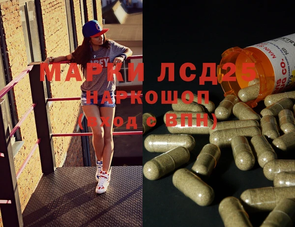 ГАЛЛЮЦИНОГЕННЫЕ ГРИБЫ Богданович