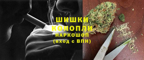 ГАЛЛЮЦИНОГЕННЫЕ ГРИБЫ Богданович