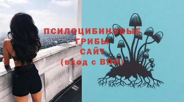 прущий лед Богородицк