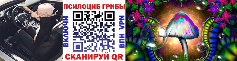 Галлюциногенные грибы MAGIC MUSHROOMS  купить наркотики цена  Котово 