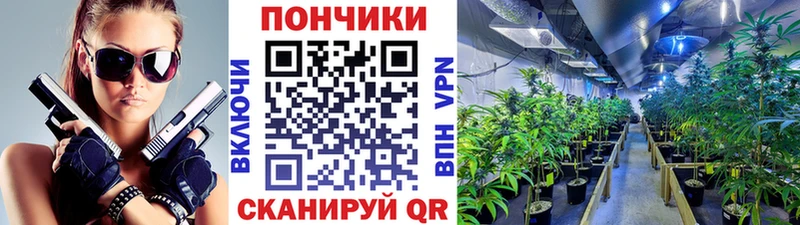 Шишки марихуана SATIVA & INDICA  как найти закладки  Котово 